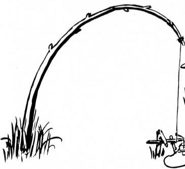 Illustration for article titled The spaghetti mystery that baffled a Manhattan Project scientist